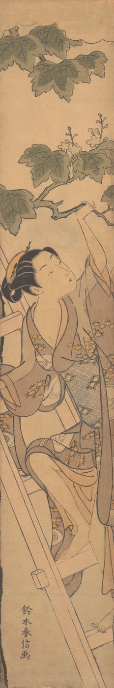 年轻女子爬梯子，约1768年，约1768年。 作者 铃木春信