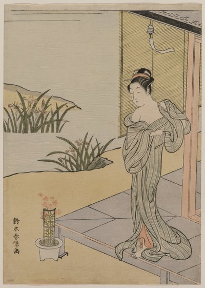 看着一盆粉红色花朵的年轻女子 作者 铃木春信