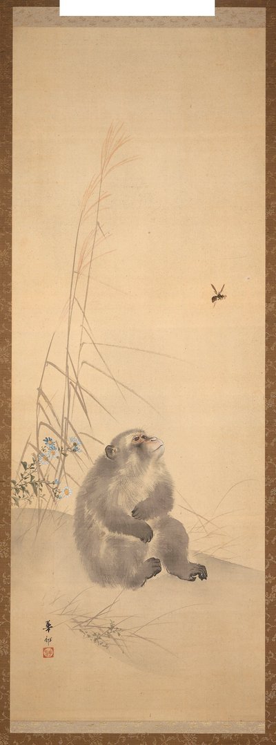 Aap 作者 铃木嘉盛