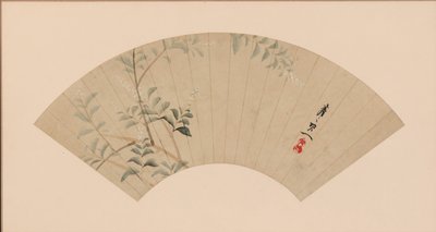 灌木丛中的三叶草。 作者 铃木纪津