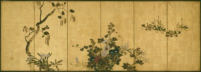 秋冬之花 作者 铃木纪津