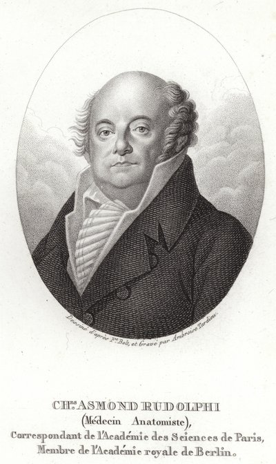 Karl Asmund Rudolphi 作者 瑞典学校