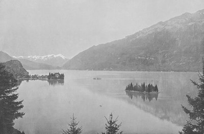 Iseltwald, Lac de Brienz (b/w photo) 作者 瑞士摄影师