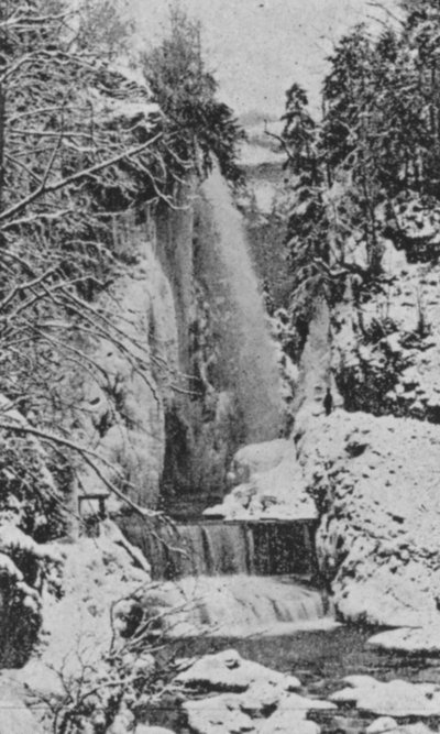 Les Corges du Taubenloch, pres Bienne en hiver (b/w photo) 作者 瑞士摄影师