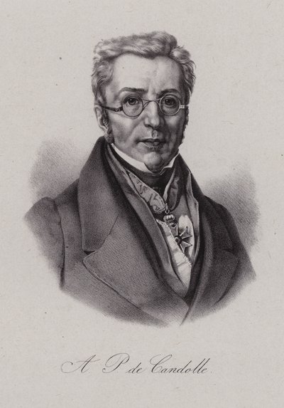 Augustin Pyramus de Candolle，瑞士植物学家（雕刻） 作者 瑞士学校