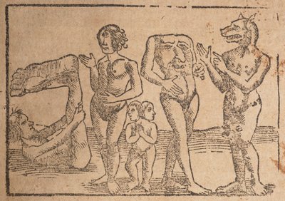 来自 "Cosmographey: that is description of all countries "一页的版画 作者 瑞士学校