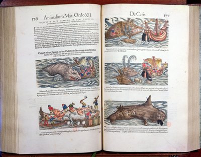 联合鲸鱼和捕鲸，来自附录历史四足动物，viviparorum et ovipororum，由Conrad Gesner（1516-65）瑞士博物学家，1554（彩色雕刻） 作者 瑞士学校