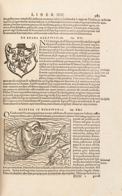 Page 983来自Cosmographiae Universalis，作者：Sebastian Muenster，巴塞尔，1572年 作者 瑞士学校