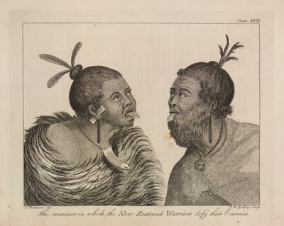 L.R.294.c.7,plate XVII 新西兰勇士 作者 悉尼（之后）帕金森氏症