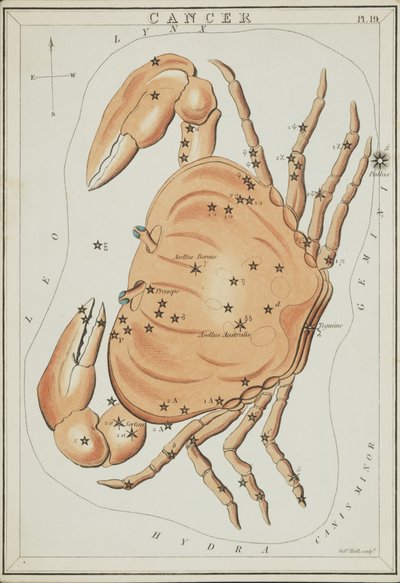 巨蟹座，《乌拉尼亚之镜》中的插图 作者 Sydney Hall