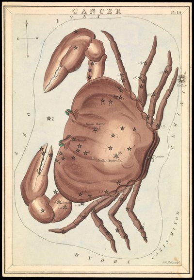 癌症，约 1825 年（卡片、纸、纸巾） 作者 Sydney Hall
