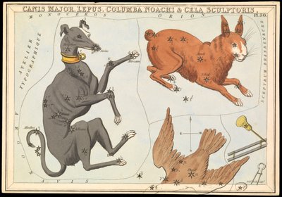 Canis Major.Lepus、Columba Noachi 和 Cela Sculptoris，约 1825 年（卡片、纸、纸巾） 作者 悉尼音乐厅