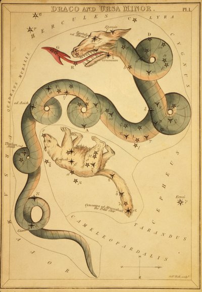 天龙座和小熊座，"天王星之镜 "的插图 作者 Sydney Hall
