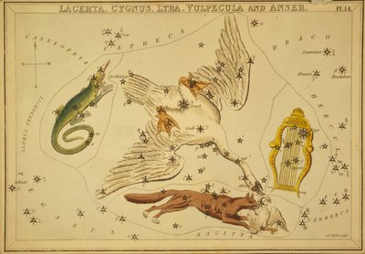 天秤座、天鹅座、天琴座、狐狸座和天鹅座，《乌拉尼亚之镜》插图 作者 Sydney Hall