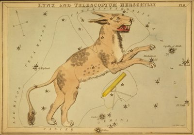 猞猁和望远镜Herschilii，《乌拉尼亚的镜子》的插图 作者 Sydney Hall