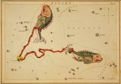 双鱼座，《乌拉尼亚的镜子》中的插图 作者 Sydney Hall