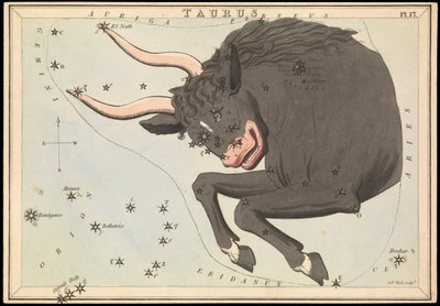 金牛座》，约 1825 年（卡片、纸、纸巾） 作者 Sydney Hall