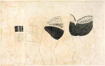 A. Buchan、S. Parkinson 和 J. F. Miller 在詹姆斯-库克船长第一次航海（1768-171 年）所到过的国家绘制的图画集，以及 John Hawksworth 的《Biron（拜伦）、Wallis 和库克的航海》（1773 年）中发表的版画。 作者 悉尼帕金森
