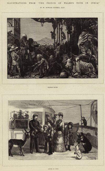 威尔士亲王在印度巡回演出的插图，由W Howard Russell，LLD提供 作者 悉尼先验厅