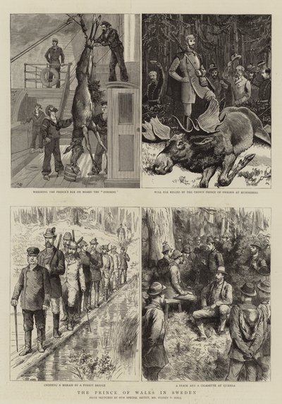 瑞典的威尔士亲王 作者 Sydney Prior Hall