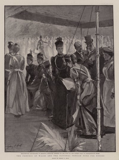 威尔士王妃和国家护士养老基金 作者 Sydney Prior Hall