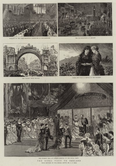 皇家访问爱尔兰 作者 Sydney Prior Hall
