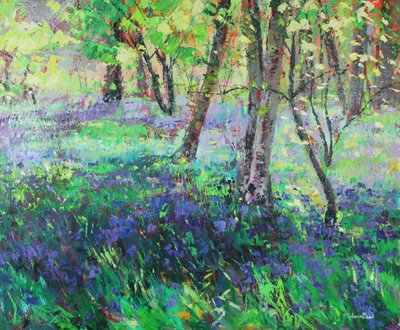 Sunshine and Bluebells 作者 西尔维娅·保罗