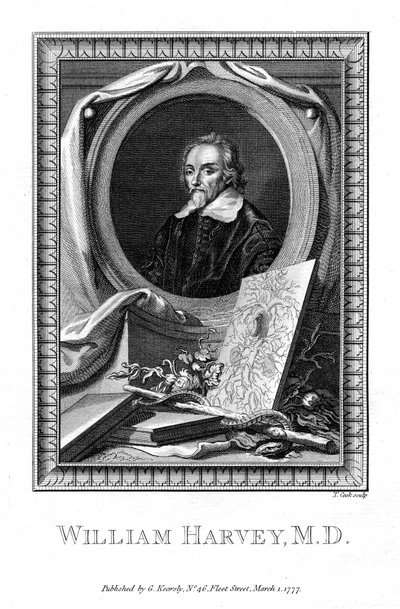 威廉·哈维（William Harvey），医生，1777年。 作者 库克
