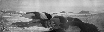 1913年，约1913年，在罗伯兹角由古代冰川计划的花岗岩块。 作者 T.格里菲斯·泰勒