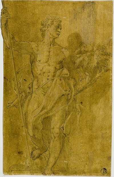 男性寓言人物研究 作者 Taddeo Zuccaro
