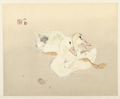 年轻的鸭子 作者 竹内诚帆