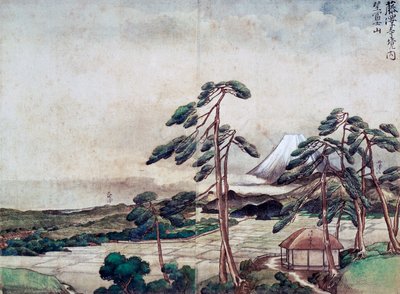 神奈川海岸景观 作者 塔尼文乔