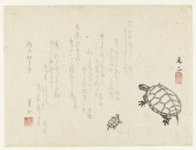 两只海龟 作者 谷文治