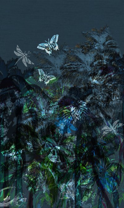 Dark Tropics 作者 塔拉·怀特海（Tara Whitehead）