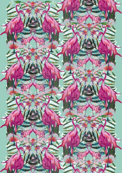 Flora Flamingo 作者 塔拉·怀特海（Tara Whitehead）