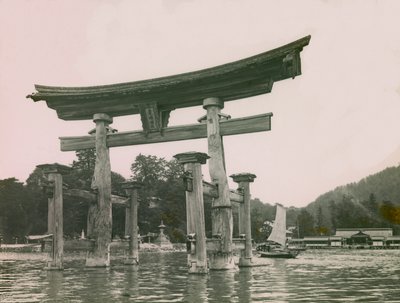  作者 