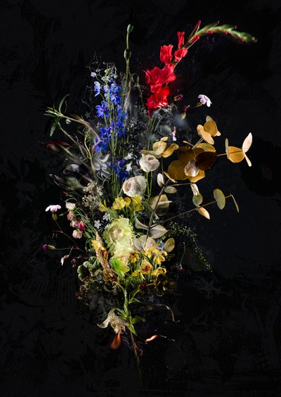 Bouquet XXXIII, 2020 (照片) 作者 泰斯·阿尔伯斯