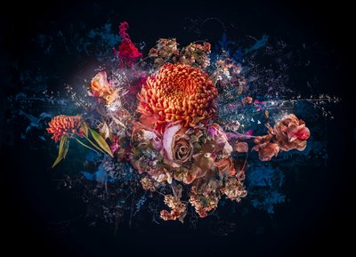 花束拼贴画，2017（照片） 作者 泰斯·阿尔伯斯