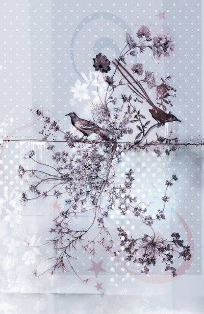 鸟的枝条，2015（布面拼贴） 作者 泰斯·阿尔伯斯