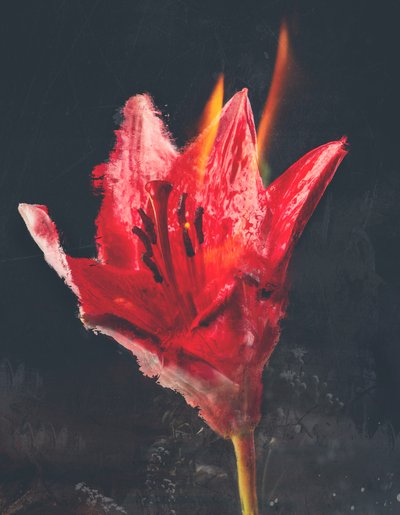 燃烧》，2019 年（混合媒介画布） 作者 泰斯·阿尔伯斯