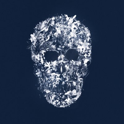FloralSkull, 2018（混合媒介画布） 作者 泰斯·阿尔伯斯