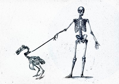 行走我的渡渡鸟，2015（混合媒介画布） 作者 泰斯·阿尔伯斯
