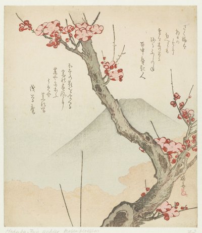 富士山和盛开的梅花 作者 浅草庵
