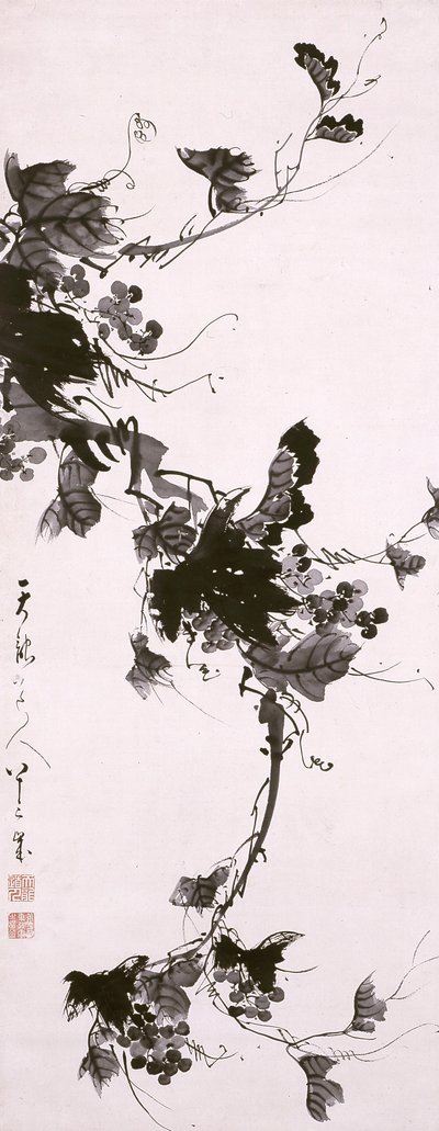 葡萄藤 作者 坦瑞？德金