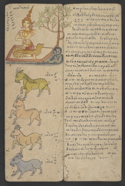 或 16455 f.5r，黄道十二宫动物，选自 Phrommachat（羊皮纸）。 作者 泰国学校