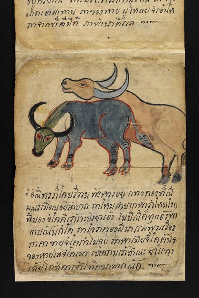 或16482，f.15 "萨特拉 "关于算命和健康快乐生活的建议（折纸书） 作者 泰国学校