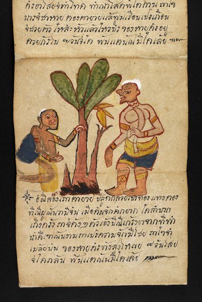 或16482，f.21 "萨特拉 "关于算命和健康快乐生活的建议（折纸书） 作者 泰国学校