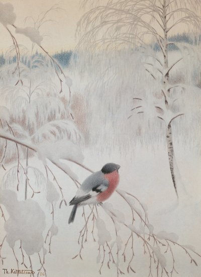 金翅雀 作者 西奥多·基特尔森