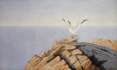 海鳎 作者 西奥多·基特尔森