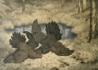 巨怪鸟在里面打架 作者 西奥多·基特尔森